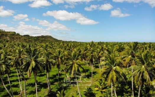 Extensive flat terrain by the beach