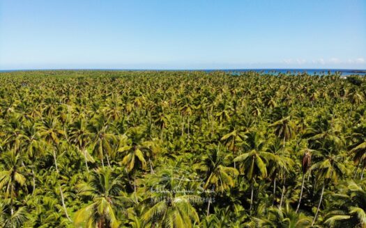 Extensive flat terrain by the beach