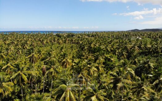 Extensive flat terrain by the beach