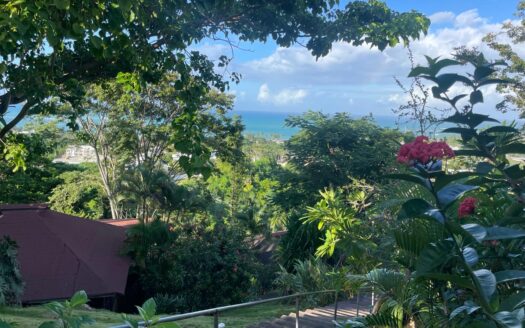 6 Oceanview villas in the heart of Las Terrenas