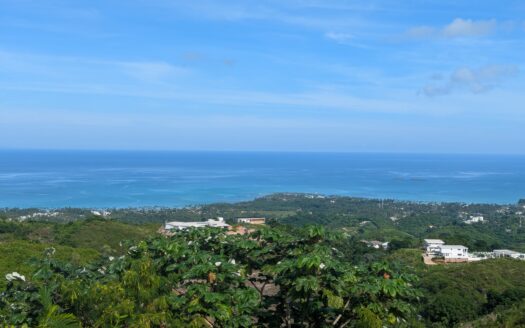 Spacious 1-BR tax-free villa