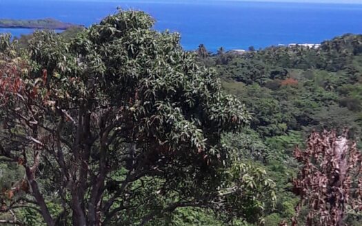 Incredible hill overlooking Playa Moron