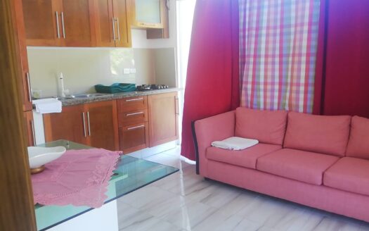 Multi-Unit Property with Consistent Rental Income