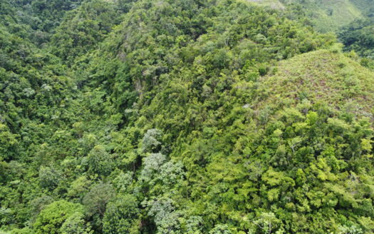 Terreno de desarrollo con vista al mar en Coson