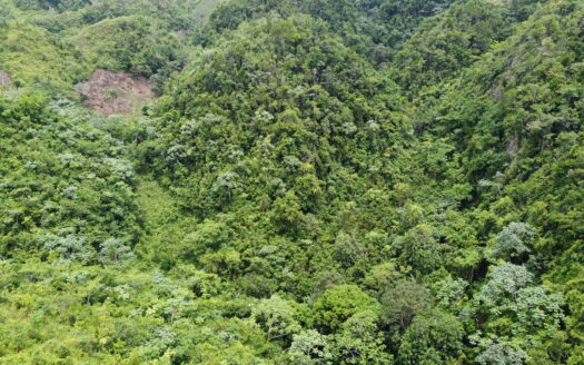 Terreno de desarrollo con vista al mar en Coson