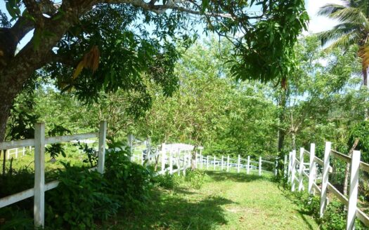 Rancho ideal para proyecto ecológico