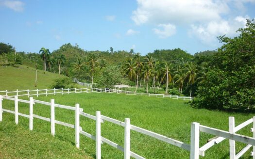 Rancho ideal para proyecto ecológico