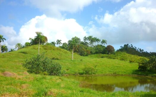 Rancho ideal para proyecto ecológico
