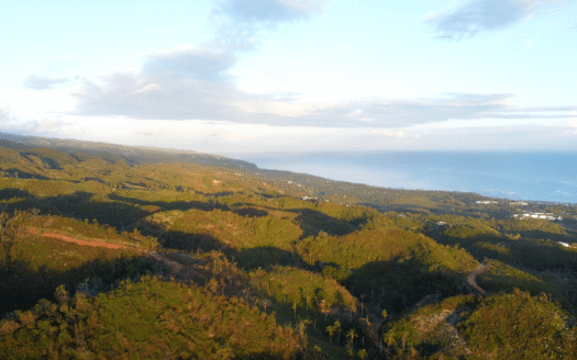 Gran oportunidad de inversión – Lotes con vista al mar asequibles