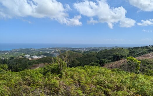 Villa de 4 Habitaciones con Vista al Mar en Preventa