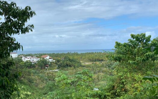 Lote con vista al océano en Coson